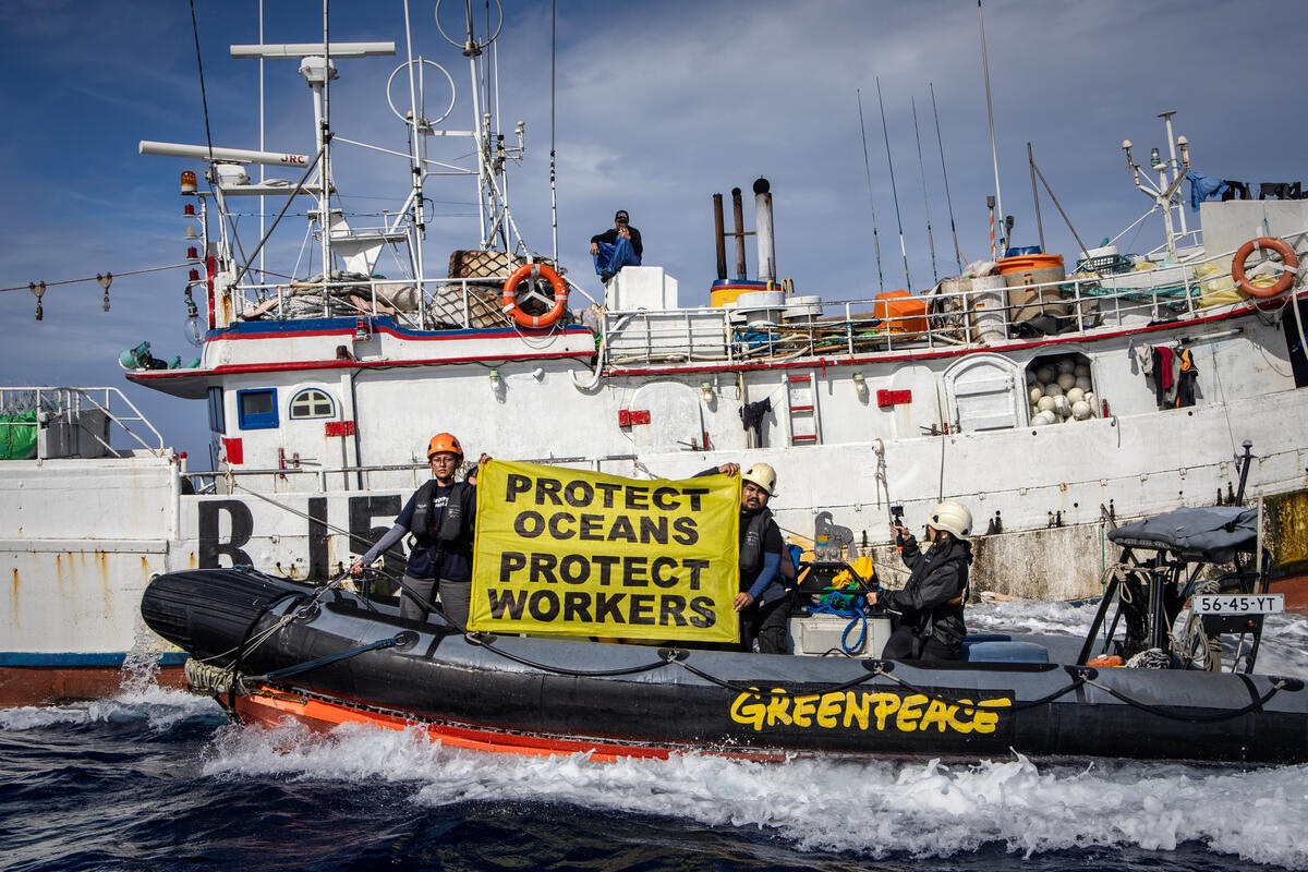 Put “Big Seafood” on notice – clean up the global fishing industry