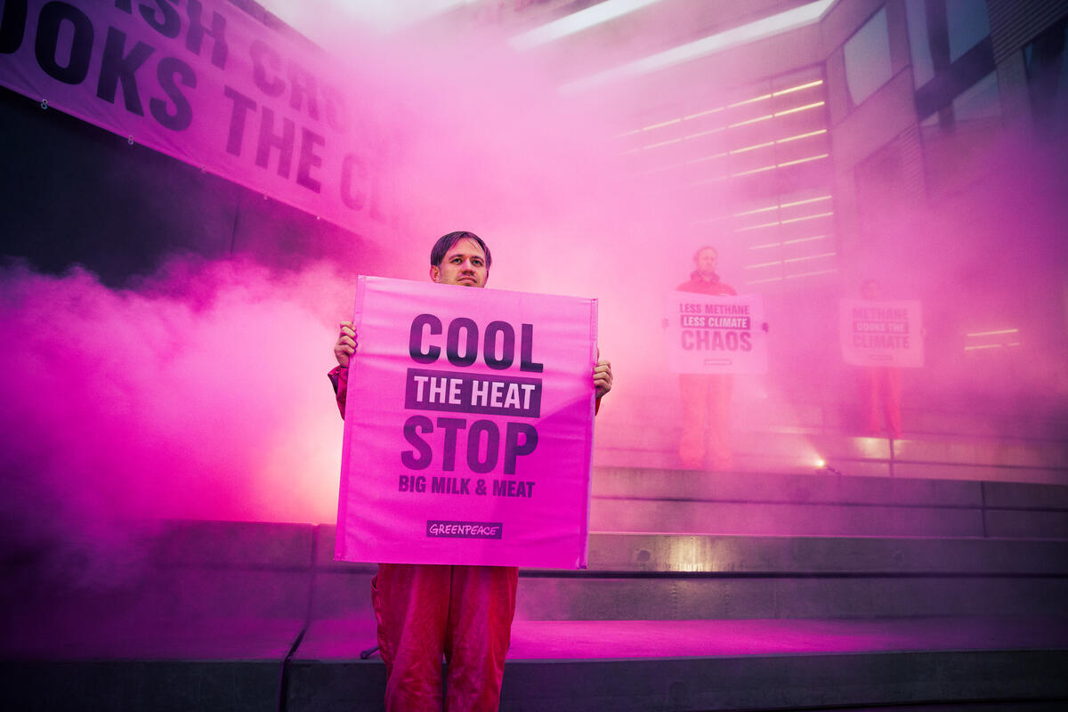 Methane Cooks the Climate - Protest at Danish Crown HQ in Denmark. © Michael Hedelain / Greenpeace