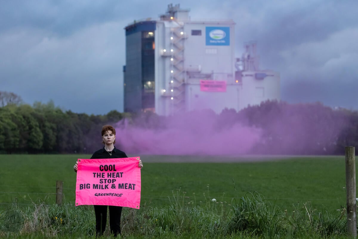 Greenpeace responds to New Zealand’s dairy industry-backed methane rollback