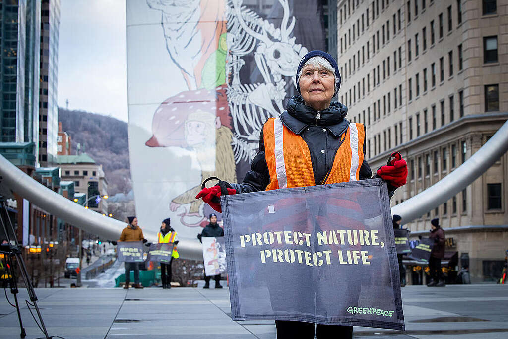 The UN Biodiversity COP16 is make-or-break moment for nature protection ...