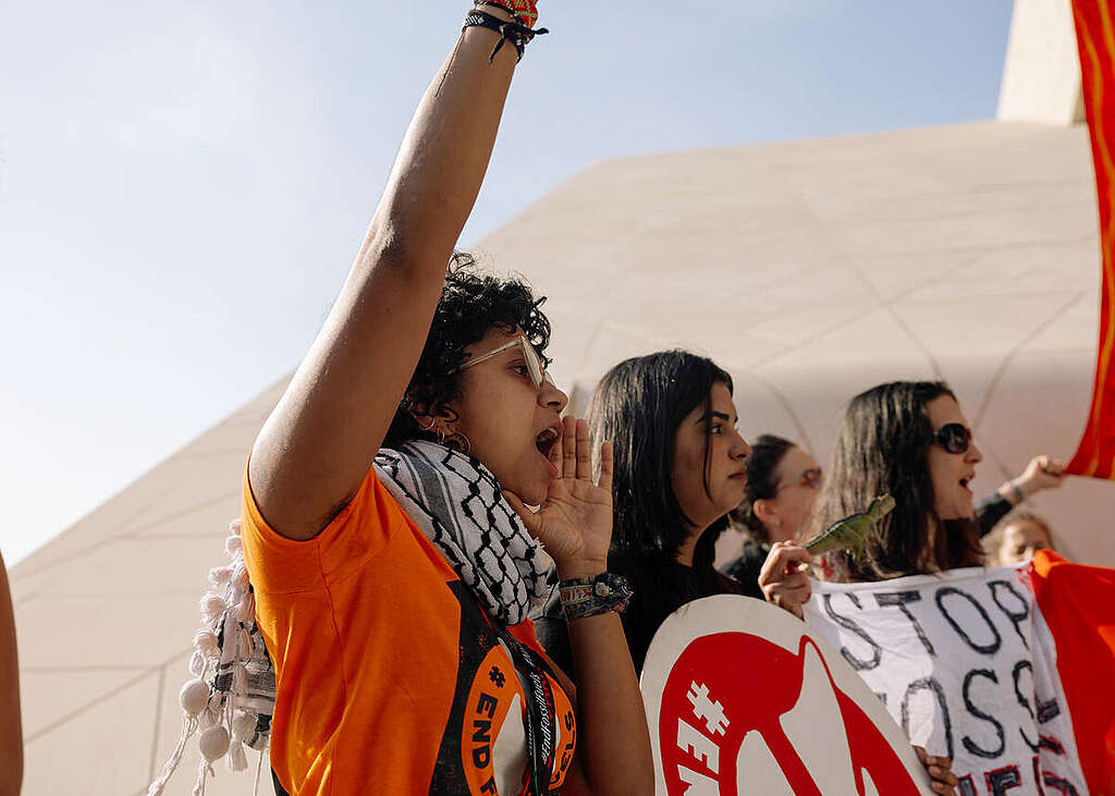 COP29: what you need to know about the annual global climate summit ...