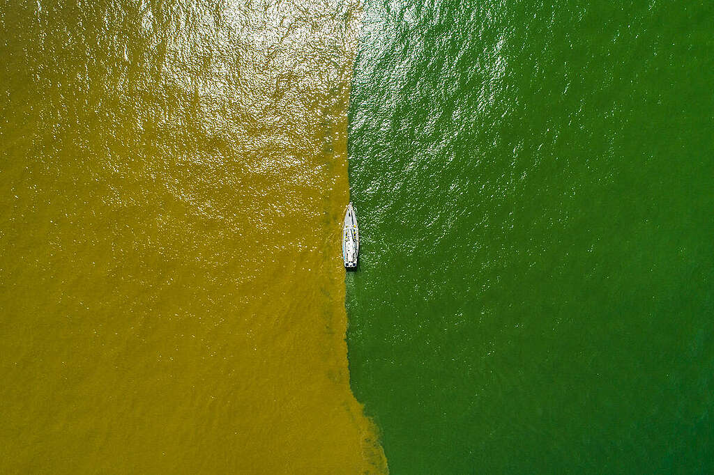 The Greenpeace sailboat Witness, at the meeting point of the waters from the Amazon River and the Atlantic Ocean. The Amazon Coast Expedition with the aim of documenting the potential impacts of oil exploration on the Amazon coast. The region is home to unique biodiversity, including the Great Amazon Reef System and vast mangroves, which are essential to local communities in terms of food and income. However, the oil industry is advancing in the area, with projects such as the FZA-M-59 block, located in the Foz do Amazonas Basin. © Fernanda Ligabue / Greenpeace The Greenpeace sailboat Witness, at the meeting point of the waters from the Amazon River and the Atlantic Ocean. The Amazon Coast Expedition with the aim of documenting the potential impacts of oil exploration on the Amazon coast. The region is home to unique biodiversity, including the Great Amazon Reef System and vast mangroves, which are essential to local communities in terms of food and income. However, the oil industry is advancing in the area, with projects such as the FZA-M-59 block, located in the Foz do Amazonas Basin. © Fernanda Ligabue / Greenpeace