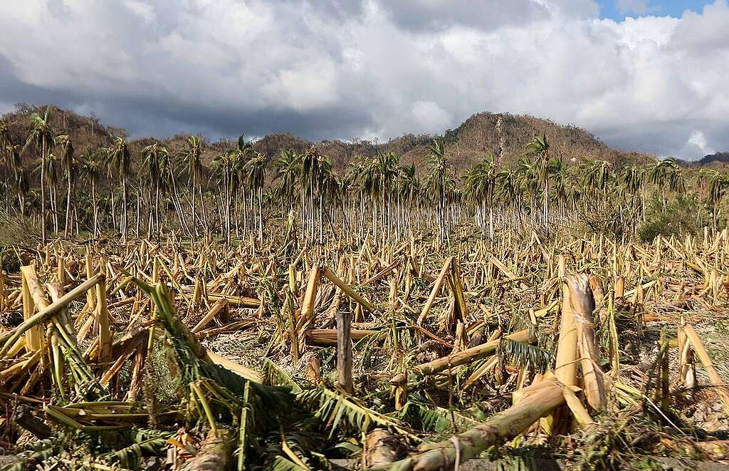An extent of damages brought by super typhoon Man-yi in Dipaculao township, Aurora province in northeastern Philippines, four days after the devastating super typhoon 'Pepito' (international name: Man-yi). The super typhoon made its second landfall to this town causing massive landslides that isolated three other towns in Aurora province. © Bullit Marquez / Greenpeace © Bullit Marquez / Greenpeace An extent of damages brought by super typhoon Man-yi in Dipaculao township, Aurora province in northeastern Philippines, four days after the devastating super typhoon 'Pepito' (international name: Man-yi). The super typhoon made its second landfall to this town causing massive landslides that isolated three other towns in Aurora province. © Bullit Marquez / Greenpeace © Bullit Marquez / Greenpeace