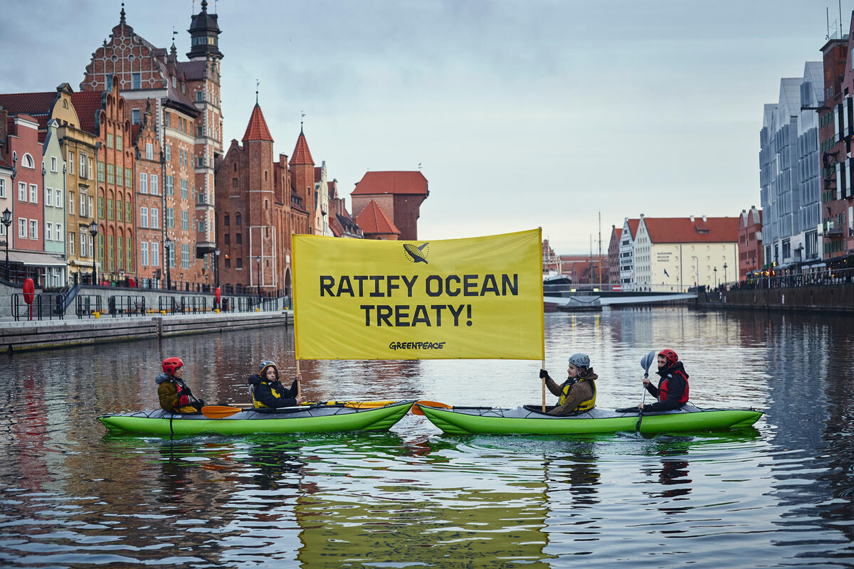 Kayaktivists demand Ocean Treaty Ratification in Gdansk, Poland. © Greenpeace / Rafal Wojczal