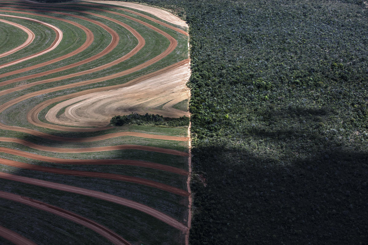 Agribusiness Rush in the MATOPIBA Region, in Brazil. © Marizilda Cruppe / Greenpeace