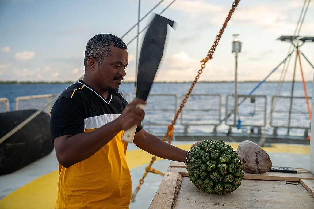 Test on Pandanus Fruit in Rongelap, Marshall Islands. © Greenpeace / Chewy C. Lin Test on Pandanus Fruit in Rongelap, Marshall Islands. © Greenpeace / Chewy C. Lin