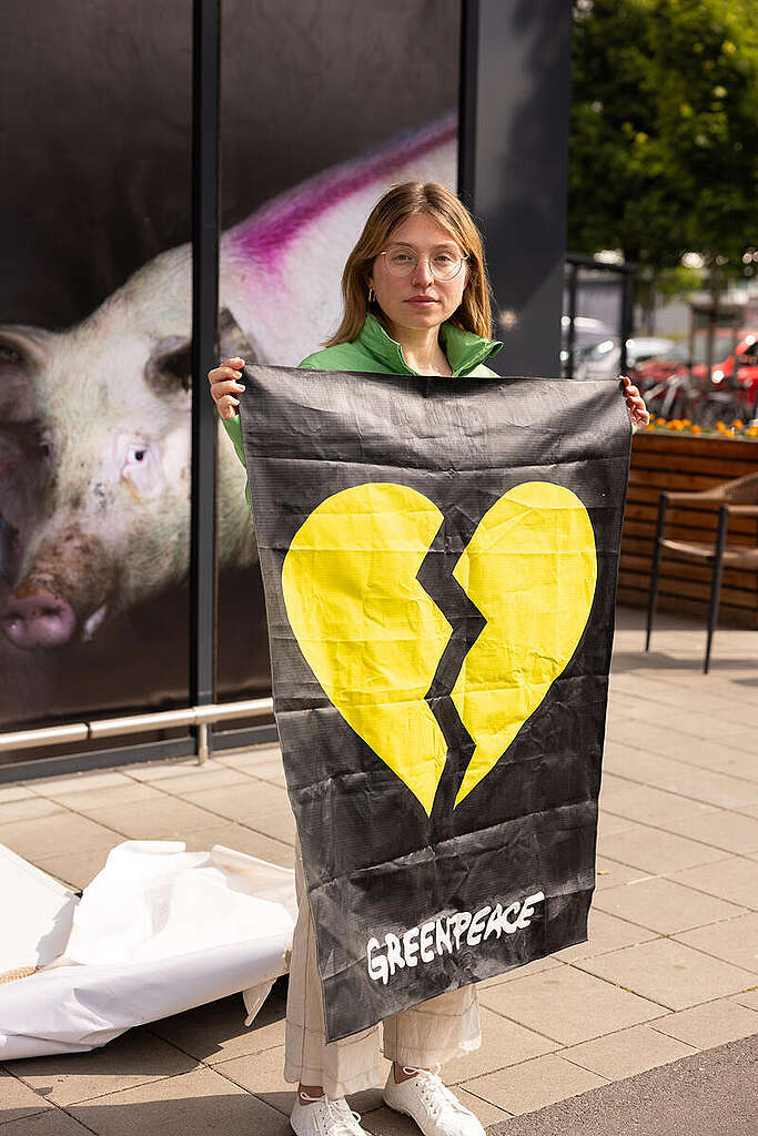 In cooperation with Bianca Heinicke Greenpeace activists transform an Edeka store in Cologne into a pigsty and protest against Edeka's branded meat from farms that do not respect animal welfare. The activists cover the supermarket with photos of one of the company's suppliers from North Rhine-Westphalia. Photos of injured, sick, immobile or dead pigs from 10 fattening stables had been handed to Greenpeace. Half of the stables supply Germany's largest supermarket retailer Edeka. Creator.n© Daniel Müller / Greenpeace In cooperation with Bianca Heinicke Greenpeace activists transform an Edeka store in Cologne into a pigsty and protest against Edeka's branded meat from farms that do not respect animal welfare. The activists cover the supermarket with photos of one of the company's suppliers from North Rhine-Westphalia. Photos of injured, sick, immobile or dead pigs from 10 fattening stables had been handed to Greenpeace. Half of the stables supply Germany's largest supermarket retailer Edeka. Creator.n© Daniel Müller / Greenpeace