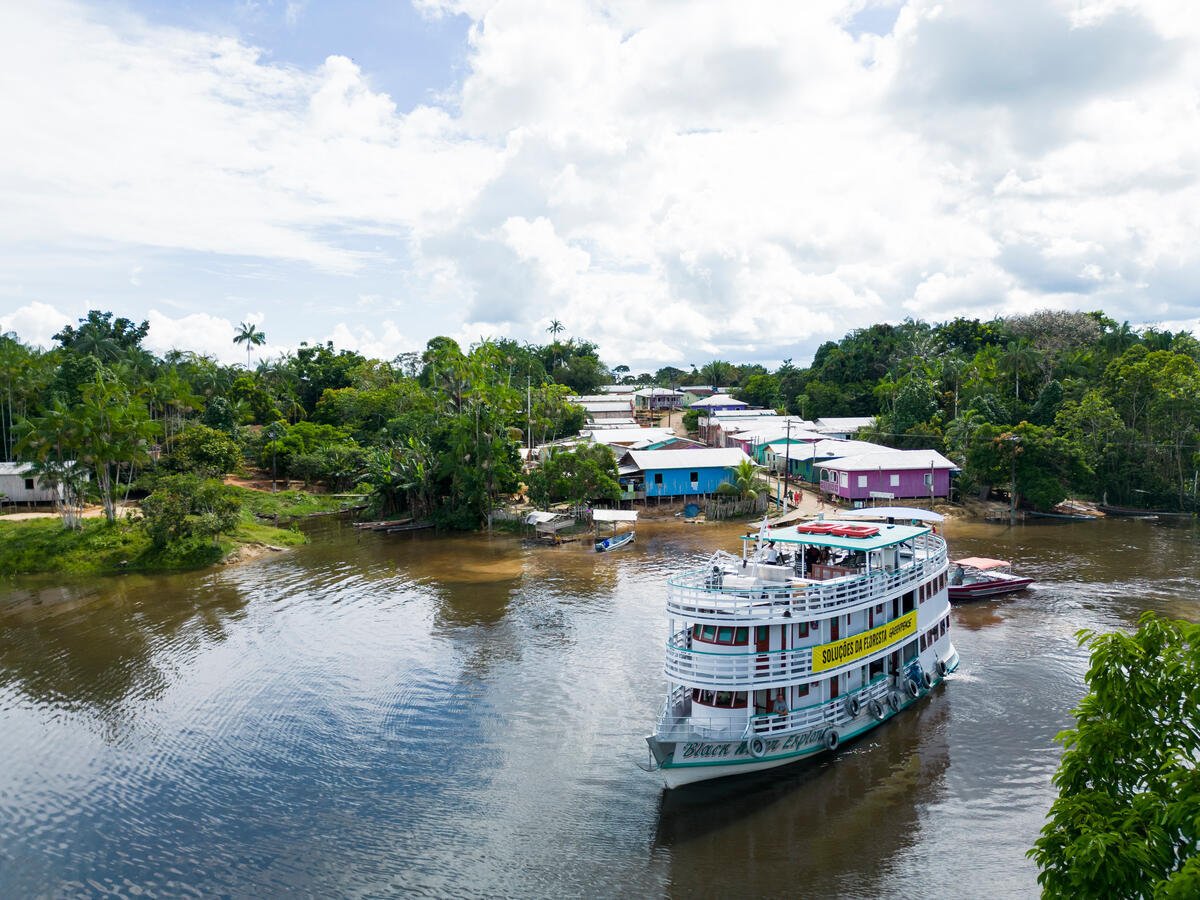 How to support real forest solutions — and avoid false ones