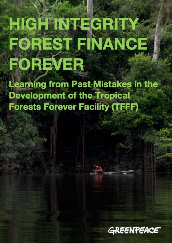 High Integrity Forest Finance: Learning from Past Mistakes in the Development of the Tropical Forests Forever Facility