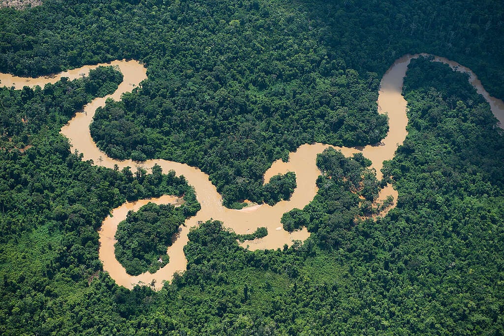River in Para State. © Daniel Beltrá / Greenpeace River in Para State. © Daniel Beltrá / Greenpeace