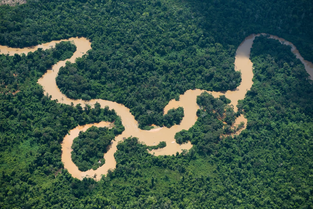 River in Para State. © Daniel Beltrá / Greenpeace River in Para State. © Daniel Beltrá / Greenpeace