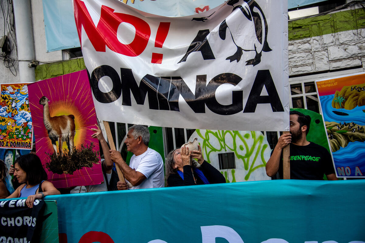 Dominga Port Mining Project Cancelled in Santiago. © Greenpeace / Cristobal Olivares Dominga Port Mining Project Cancelled in Santiago. © Greenpeace / Cristobal Olivares