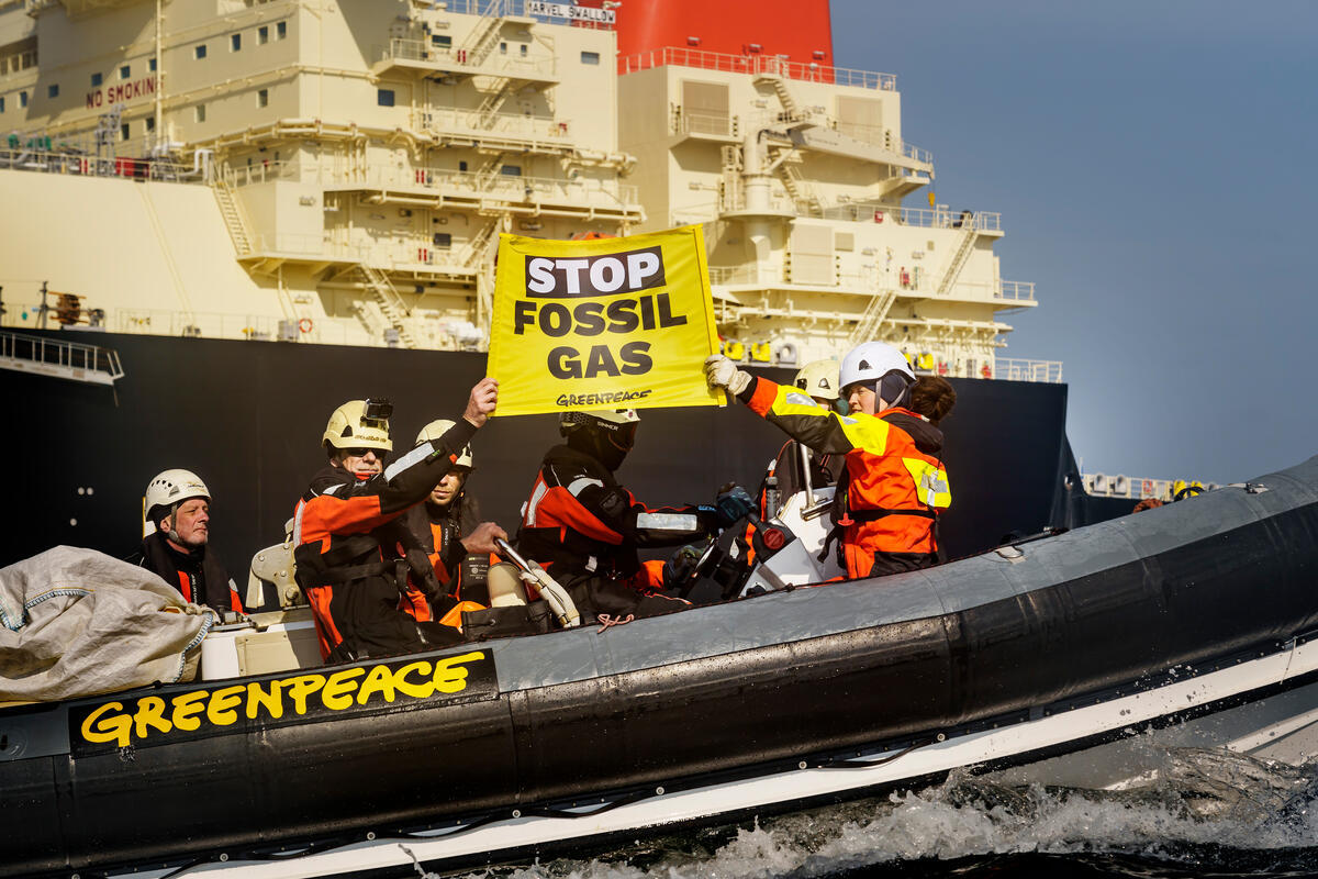 Ban new fossil fuel projects