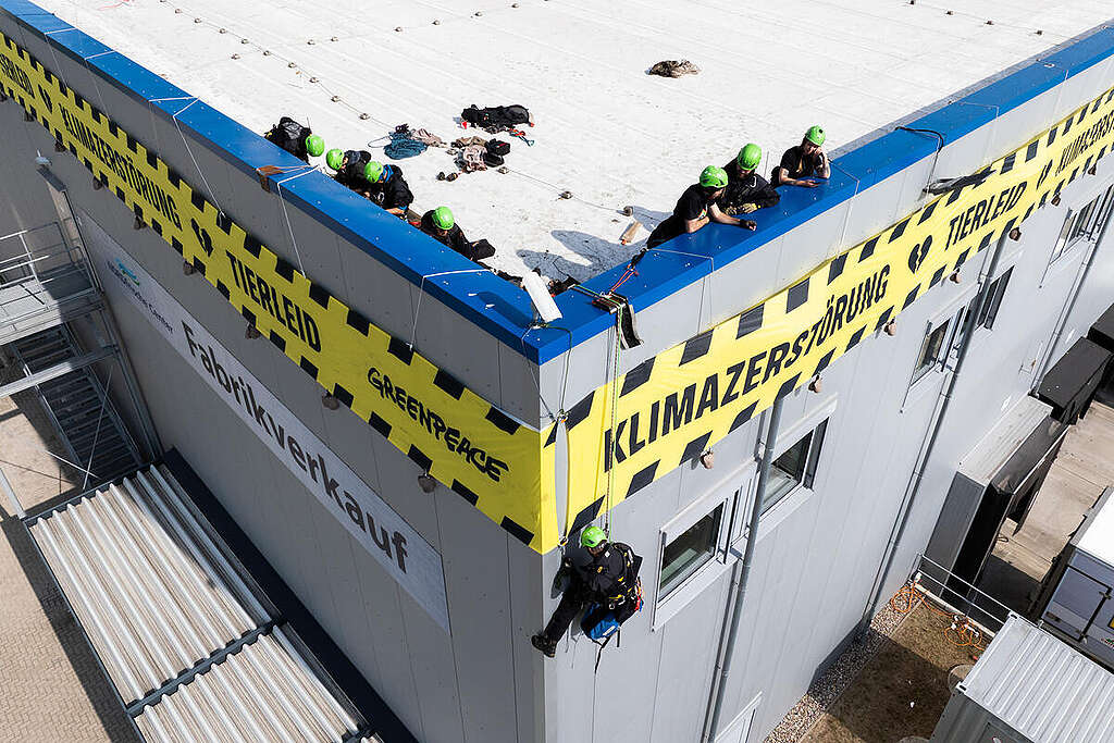 Protest at the Edeka Meat Plant in Mecklenburg-Vorpommern - Aerials. © Greenpeace Protest at the Edeka Meat Plant in Mecklenburg-Vorpommern - Aerials. © Greenpeace