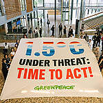Bonn ‘talking shop’ at odds with urgency needed to save forests, climate