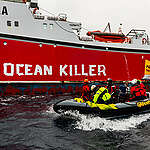 Greenpeace Aotearoa activists confront the Talley’s bottom trawler Amatal Atlantis on the Chatham Rise, painting “ocean killer” on its hull to protest destructive bottom trawling.
The Rainbow Warrior is off the coast of Aotearoa campaigning for an end to New Zealand's destructive bottom trawling in New Zealand waters and the Tasman Sea.