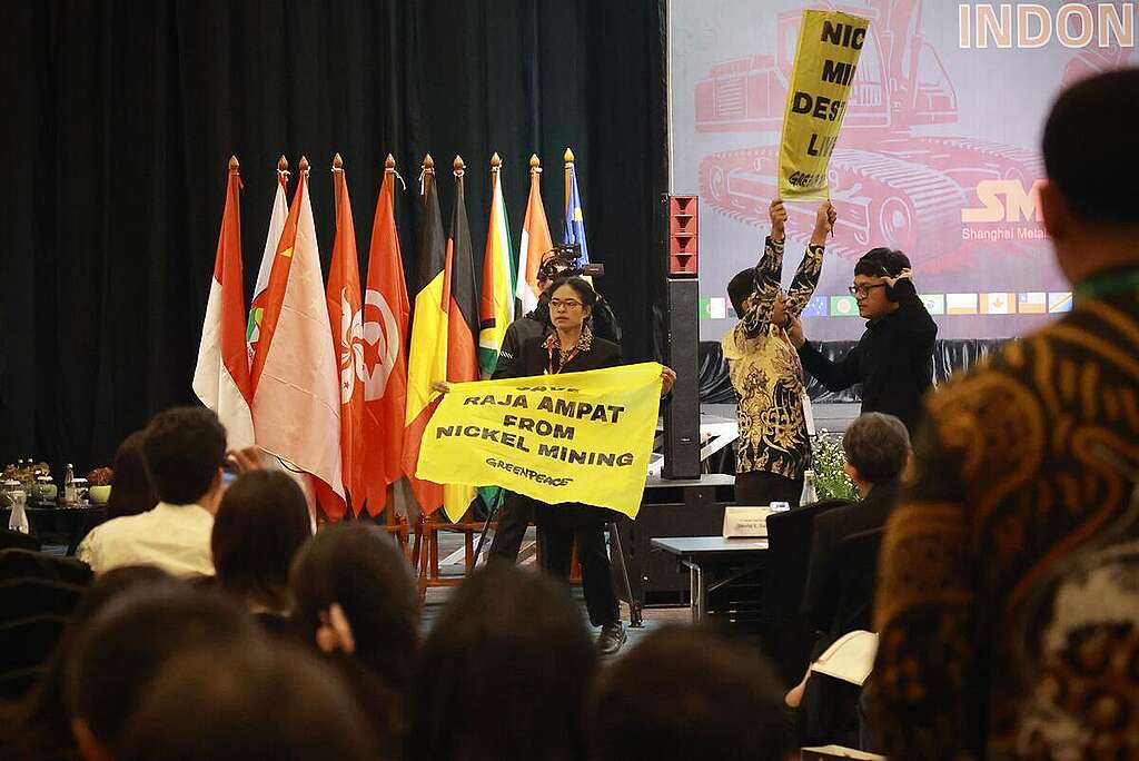 Greenpeace Indonesia activists, alongside four young West Papuans from the Raja Ampat archipelago, staged a peaceful protest today at Indonesia Critical Minerals Conference to expose the devastating environmental and social consequences of nickel mining and smelting. The activists deployed a banner reading, Greenpeace Indonesia activists, alongside four young West Papuans from the Raja Ampat archipelago, staged a peaceful protest today at Indonesia Critical Minerals Conference to expose the devastating environmental and social consequences of nickel mining and smelting. The activists deployed a banner reading,
