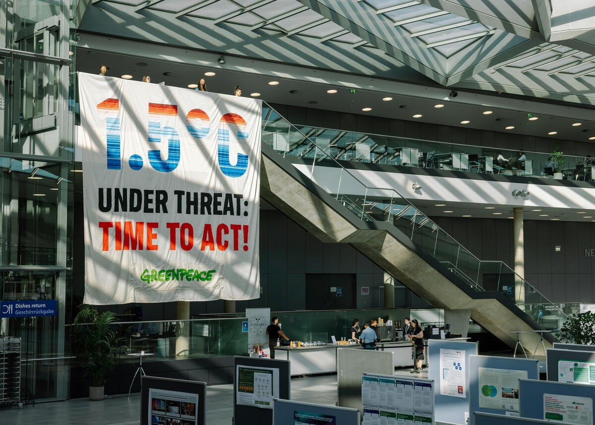 BRICS: Greenpeace calls for strong global leadership in pushing climate action and nature protection
