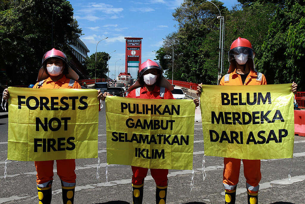 Greenpeace Activists Protest in Palembang. © Muhammad Hatta / Greenpeace Greenpeace Activists Protest in Palembang. © Muhammad Hatta / Greenpeace