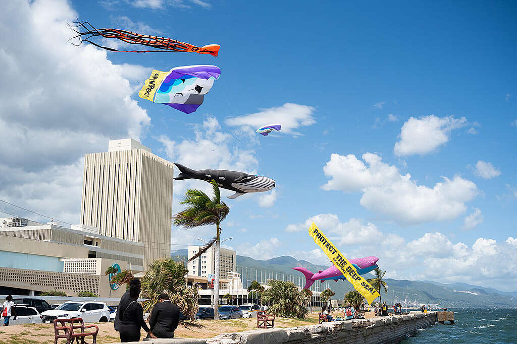 Huge Ocean Themed Kites at the ISA in Kingston. © Kinematix Studios / Greenpeace Huge Ocean Themed Kites at the ISA in Kingston. © Kinematix Studios / Greenpeace