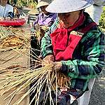 After a year of interviews, research, and volunteer workshops, the Taipei office enabled volunteers to take part in millet cultivation with Indigenous communities in Pingtung. Through learning and applying traditional ecological knowledge, the project aims to restore millet farming and help protect the endangered tree sparrow from disappearing due to the climate crisis. It also successfully advocated for the Pingtung County Government to join the effort in bringing the tree sparrow back to the region.