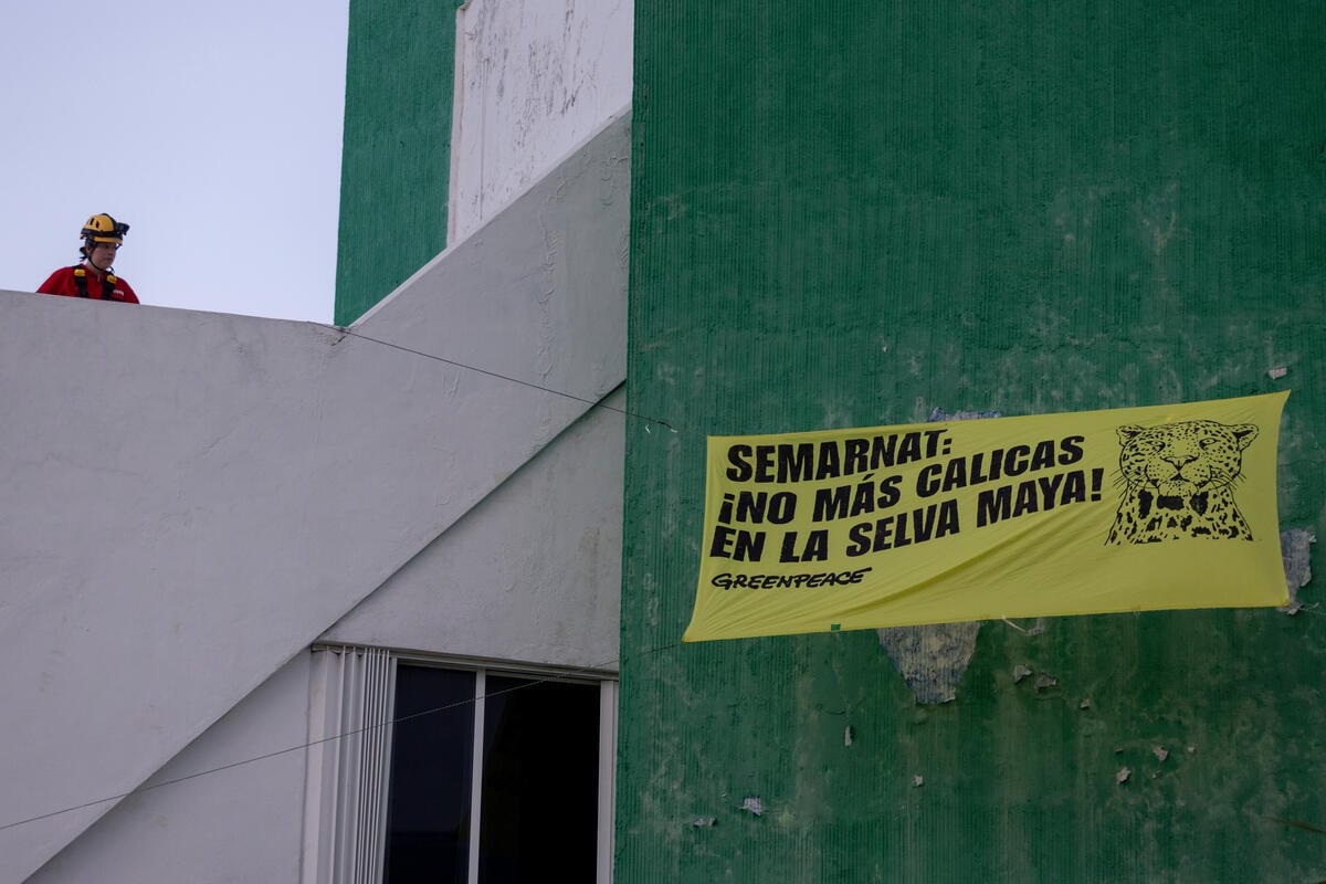 Greenpeace Pictures of the Week