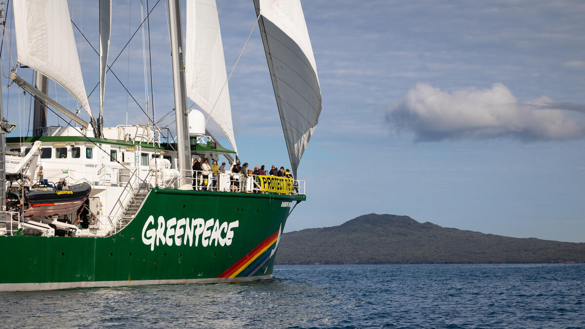 Rainbow Warrior Arrives in Auckland. © Bryce Groves / Greenpeace Rainbow Warrior Arrives in Auckland. © Bryce Groves / Greenpeace