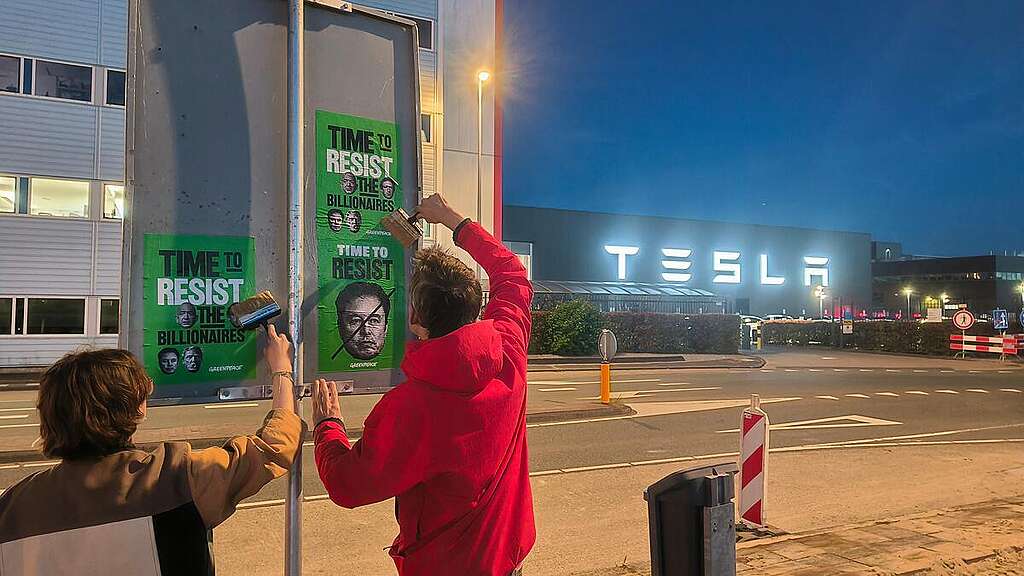 Time to Resist - Posters in Netherlands. © Greenpeace Time to Resist - Posters in Netherlands. © Greenpeace