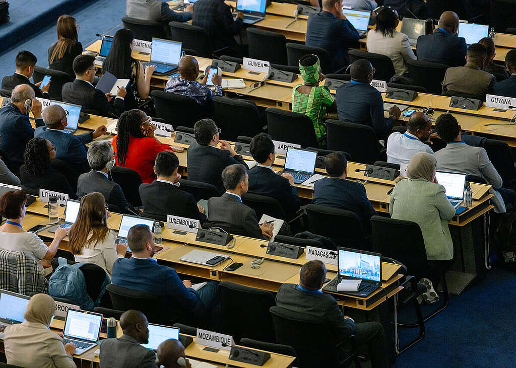 Open Plenary of the INC5.2 Negotiations. © Marie Jacquemin / Greenpeace Open Plenary of the INC5.2 Negotiations. © Marie Jacquemin / Greenpeace