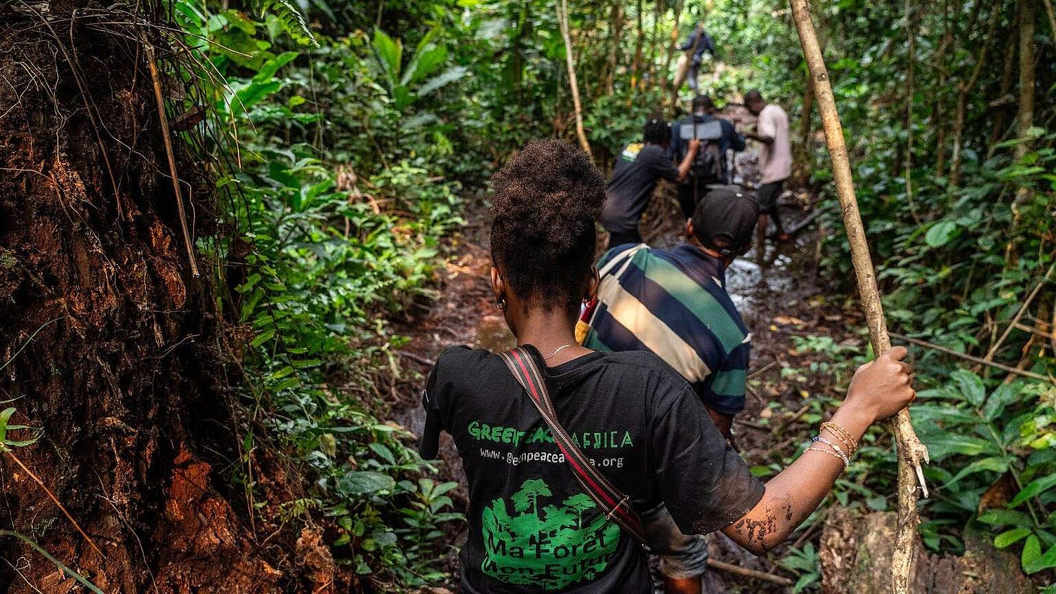We, the Indigenous People of the forest, refuse to be ignored any longer