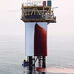 Greenpeace Pictures of the Week