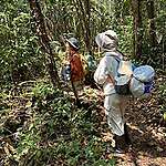 Environmental storytelling for a Chinese audience: reporting from the Amazon rainforest with “Aunt Bear” 