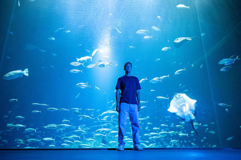 Greenpeace ocean campaigner Franziska Saalmann meets former Formula 1 world champion Sebastian Vettel at the Stralsund Maritime Museum (a Greenpeace partner). The occasion is the endangered porpoise populations. In the southwestern and eastern Baltic Sea, which, according to the latest counts, number between 1,300 and 5,800. The genetically distinct population in the eastern Baltic Sea now comprises only about 500 animals and is threatened with extinction. Die Greenpeace Meeresschutz Kampaignerin Franziska Saalmann trifft den ehemaligen Formel-1-Weltmeister Sebastian Vettel im Meeresmuseum Stralsund (Kooperationspartner von Greenpeace). Anlass sind die bedrohten Schweinswalpopulationen. In der südwestlichen und östlichen Ostsee leben nach letzten Zählungen noch zwischen 1.300 und 5.800 Schweinswale. Der genetisch eigenständige Bestand der östlichen Ostsee umfasst nur noch ca. 500 Tiere und ist vom Aussterben bedroht. © Christophe Gateau / Greenpeac Greenpeace ocean campaigner Franziska Saalmann meets former Formula 1 world champion Sebastian Vettel at the Stralsund Maritime Museum (a Greenpeace partner). The occasion is the endangered porpoise populations. In the southwestern and eastern Baltic Sea, which, according to the latest counts, number between 1,300 and 5,800. The genetically distinct population in the eastern Baltic Sea now comprises only about 500 animals and is threatened with extinction. Die Greenpeace Meeresschutz Kampaignerin Franziska Saalmann trifft den ehemaligen Formel-1-Weltmeister Sebastian Vettel im Meeresmuseum Stralsund (Kooperationspartner von Greenpeace). Anlass sind die bedrohten Schweinswalpopulationen. In der südwestlichen und östlichen Ostsee leben nach letzten Zählungen noch zwischen 1.300 und 5.800 Schweinswale. Der genetisch eigenständige Bestand der östlichen Ostsee umfasst nur noch ca. 500 Tiere und ist vom Aussterben bedroht. © Christophe Gateau / Greenpeac