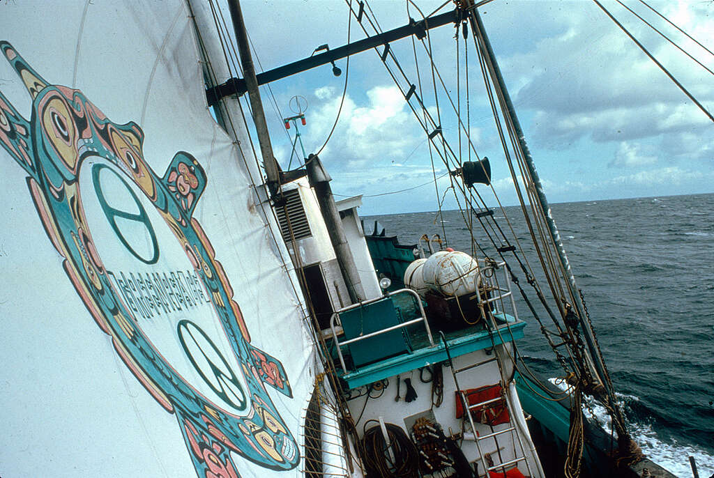 Greenpeace Ship Phyllis Cormack. © Greenpeace / Rex Weyler Greenpeace Ship Phyllis Cormack. © Greenpeace / Rex Weyler