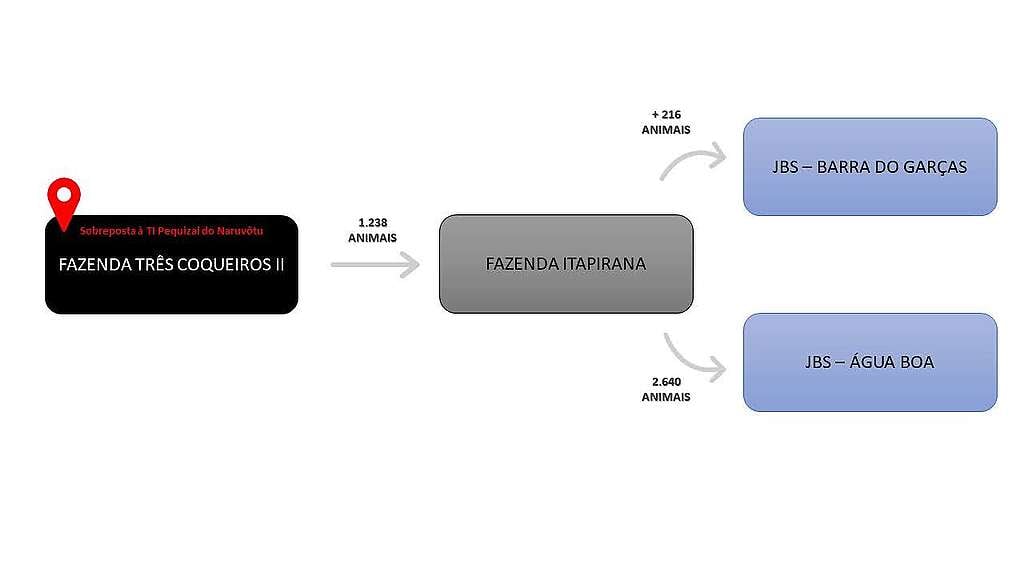 Organisation: Greenpeace Brazil (2025)