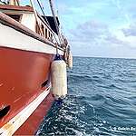 Greenpeace calls for international support of Global Sumud Flotilla