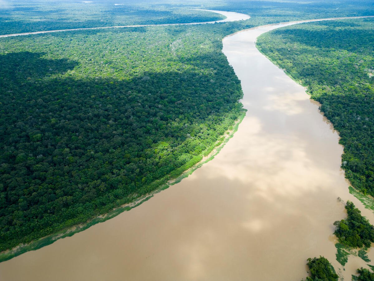 Respect the Amazon Expedition: Juruá River. © Nilmar Lage / Greenpeace