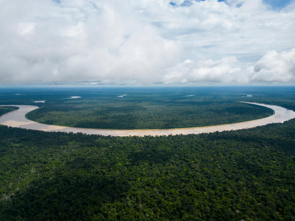 Respect the Amazon Expedition: Juruá River. © Nilmar Lage / Greenpeace Respect the Amazon Expedition: Juruá River. © Nilmar Lage / Greenpeace