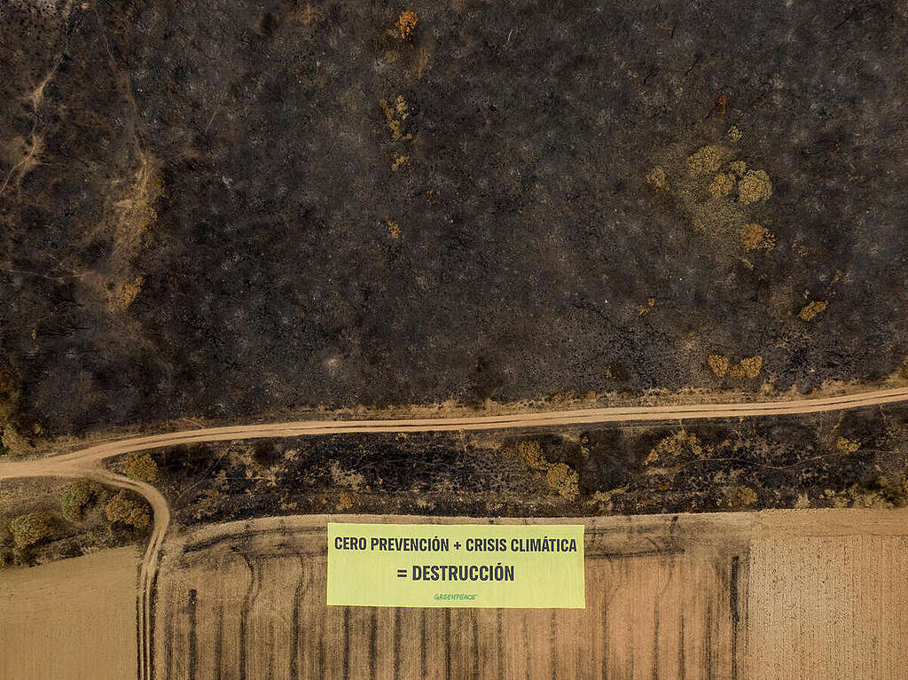 Photo Opportunity: Fires in Spain. © Pablo Blazquez / Greenpeace