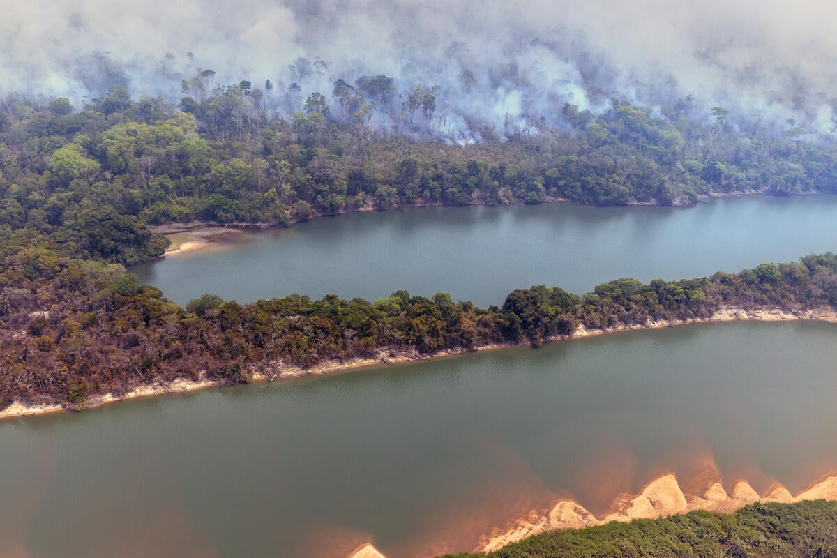 Drought and Smoke on the Xingu River in the Amazon. © Marizilda Cruppe / Greenpeace Drought and Smoke on the Xingu River in the Amazon. © Marizilda Cruppe / Greenpeace