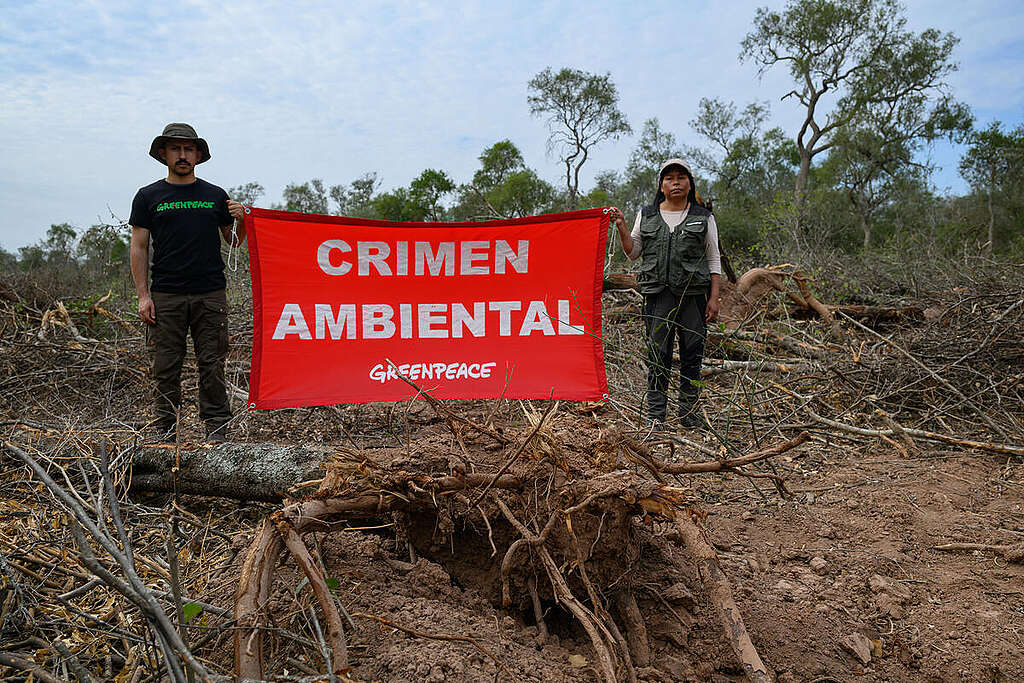 Deforestation in Chaco Province, Argentina. © Martin Katz / Greenpeace