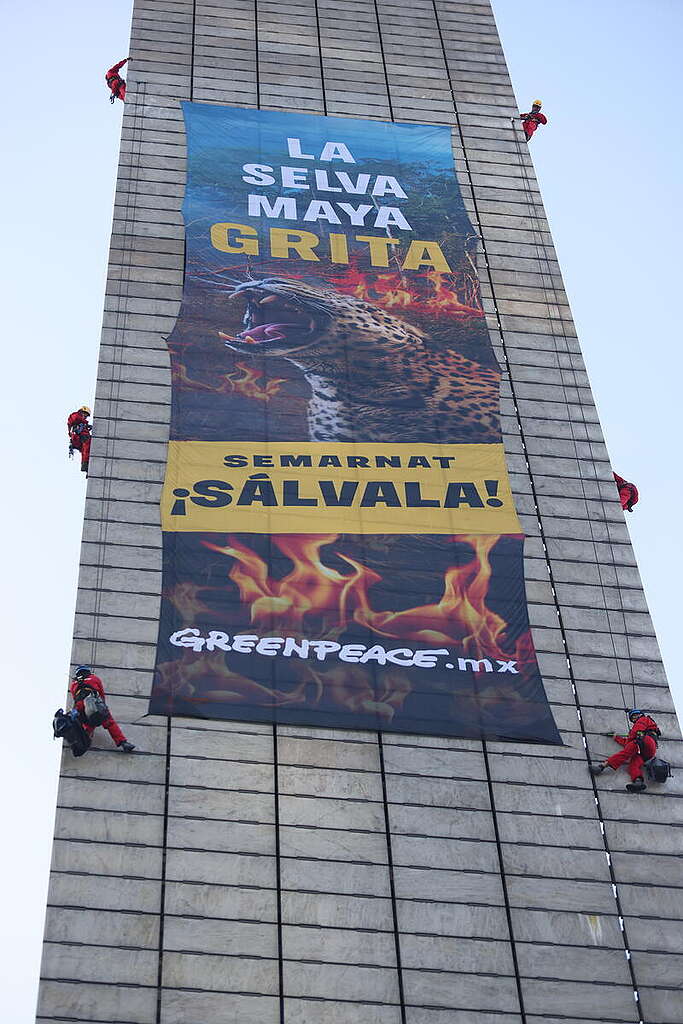 Action at Estela de Luz Monument in Mexico City. © Gustavo Graf / Greenpeace