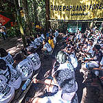 Participants and delegation during the opening ceremony of  Forest Defender Camp 2025 in Sira's village forest, at Knasaimos customary area in South Sorong, Southwest Papua.
Greenpeace Indonesia holds the second Forest Defender Camp (FDC) from 23-26 September 2025 in Sira’s customary forest of Tehit Tribe Knasaimos area, South Sorong, South West Papua. The FDC is attended by 89 participants, including Papuan Indigenous youths from 7 customary areas around Papua Island, as well as delegations of Indigenous Peoples from the Congo Basin, Amazon, and Borneo.