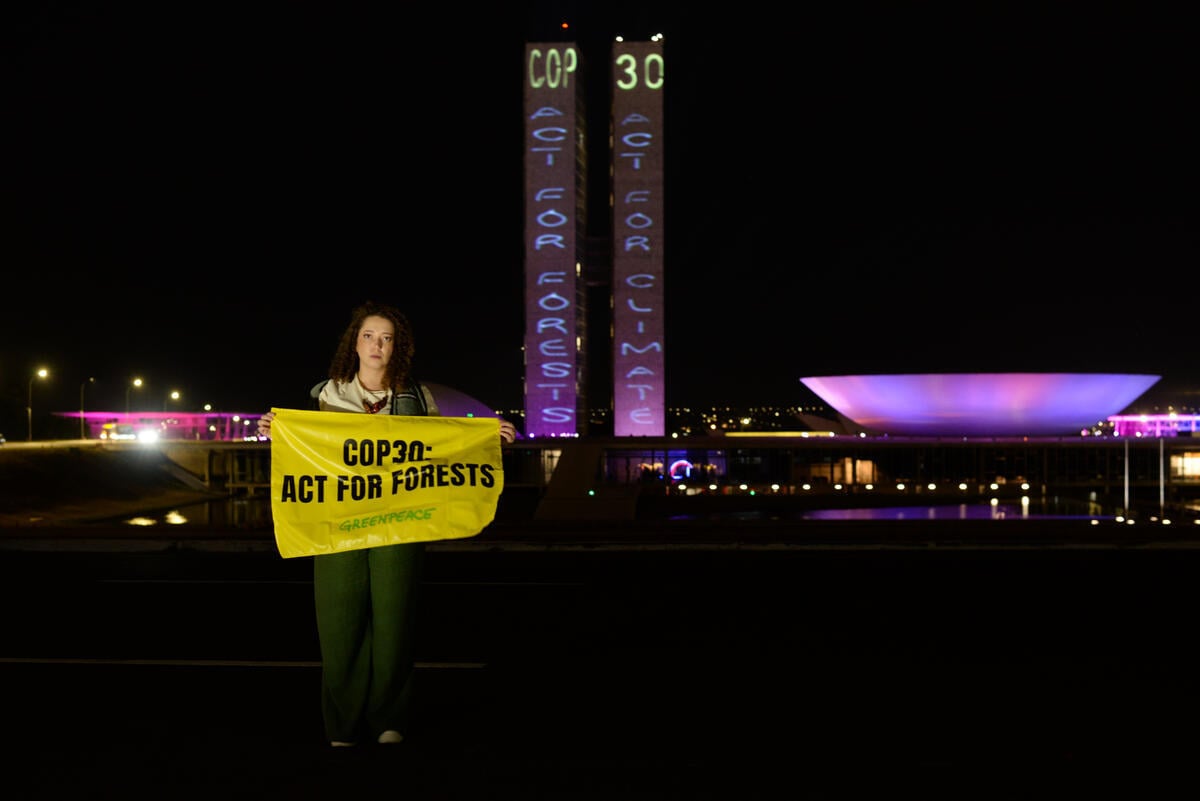 COP30 must act: new Greenpeace poll shows nine in 10 people want forest protection to fight climate change 