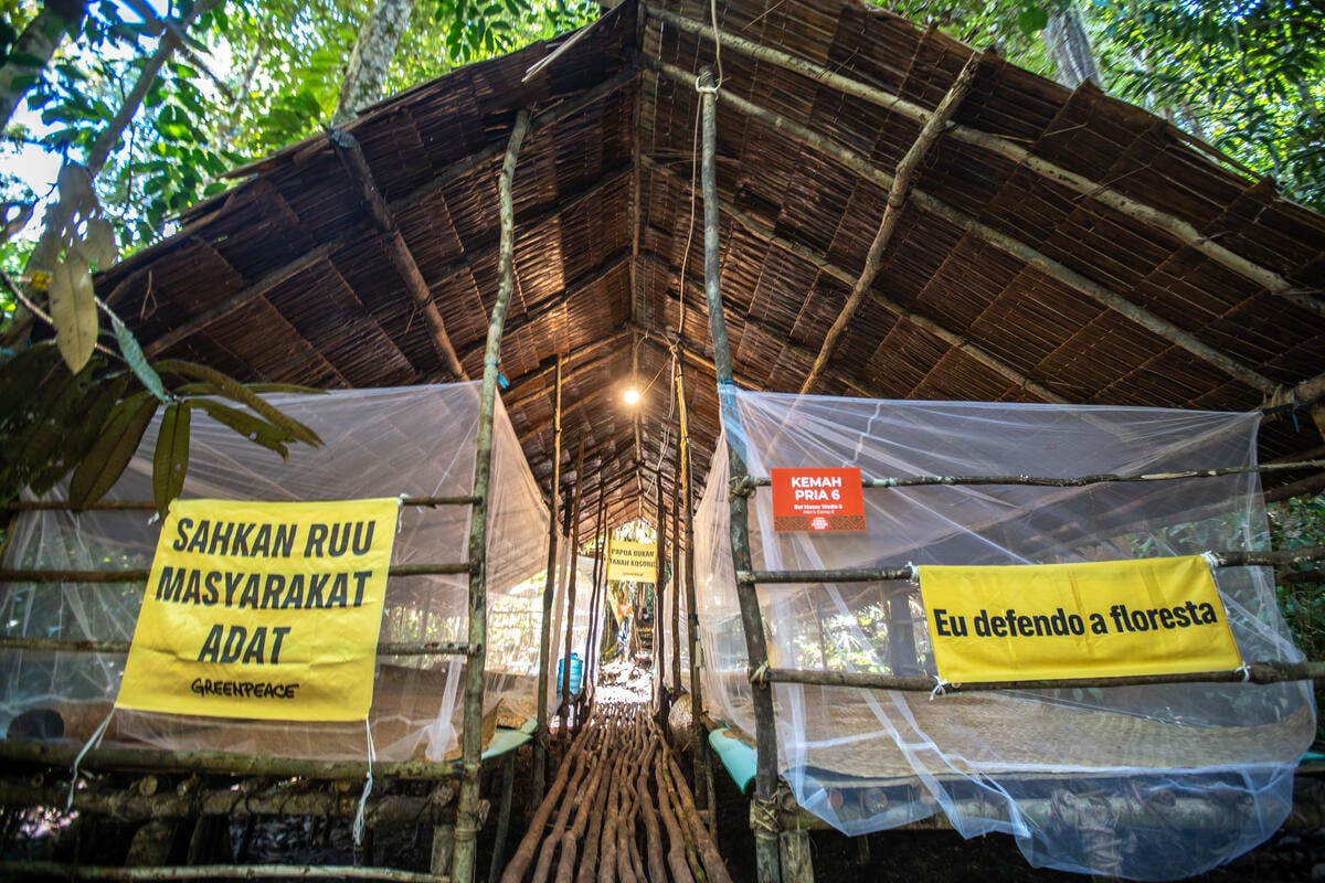 The 2nd Forest Defender Camp 2025 in Papua Day 1. © Jurnasyanto Sukarno / Greenpeace