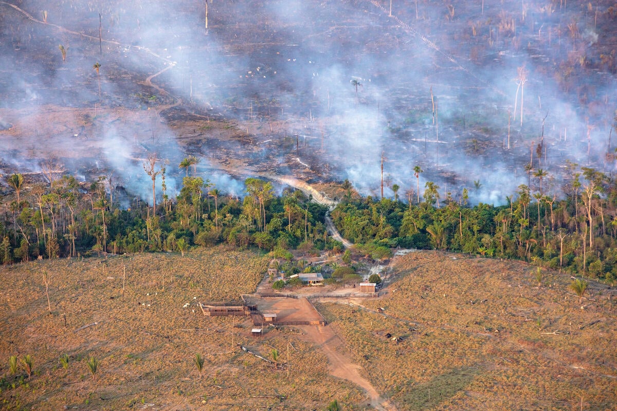 Aerial Monitoring of Fires and Deforestation in the Amazon. © Marizilda Cruppe / Greenpeace Aerial Monitoring of Fires and Deforestation in the Amazon. © Marizilda Cruppe / Greenpeace