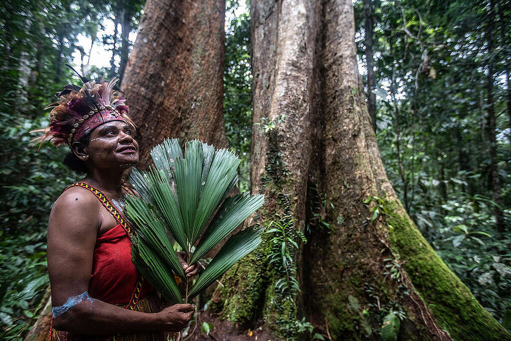 The 2nd Forest Defender Camp 2025 in Papua Day 4. © Jurnasyanto Sukarno / Greenpeace