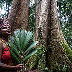 A Papuan Indigenous woman of Tehit tribe stands under Merbau tree during the Forest Defender Camp 2025 in the Sira village forest, at Knasaimos customary area in South Sorong, Southwest Papua. Greenpeace Indonesia holds the second Forest Defender Camp (FDC) from 23-26 September 2025 in Sira’s customary forest of Tehit Tribe Knasaimos area, South Sorong, South West Papua. The FDC is attended by 89 participants, including Papuan Indigenous youths from 7 customary areas around Papua Island, as well as delegations of Indigenous Peoples from the Congo Basin, Amazon, and Borneo.