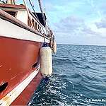 Greenpeace calls for peaceful aid mission to continue