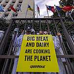 Greenpeace activsts caged at FAO against intensive farming. At the world conference on livestock, Greenpeace launches an appeal signed by over 90 organizations for a just transition in the food sector.